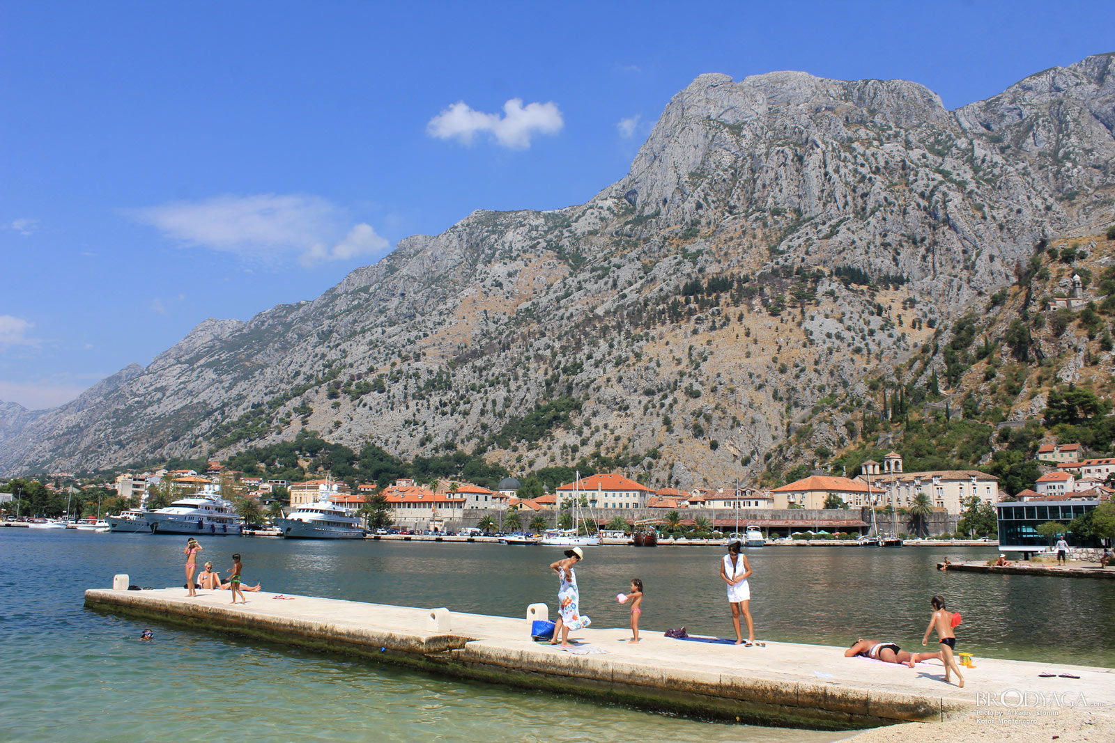 Kotor